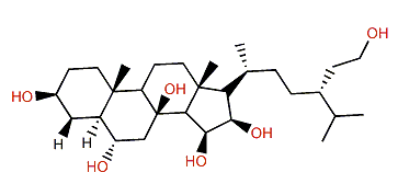 Certonardosterol O1